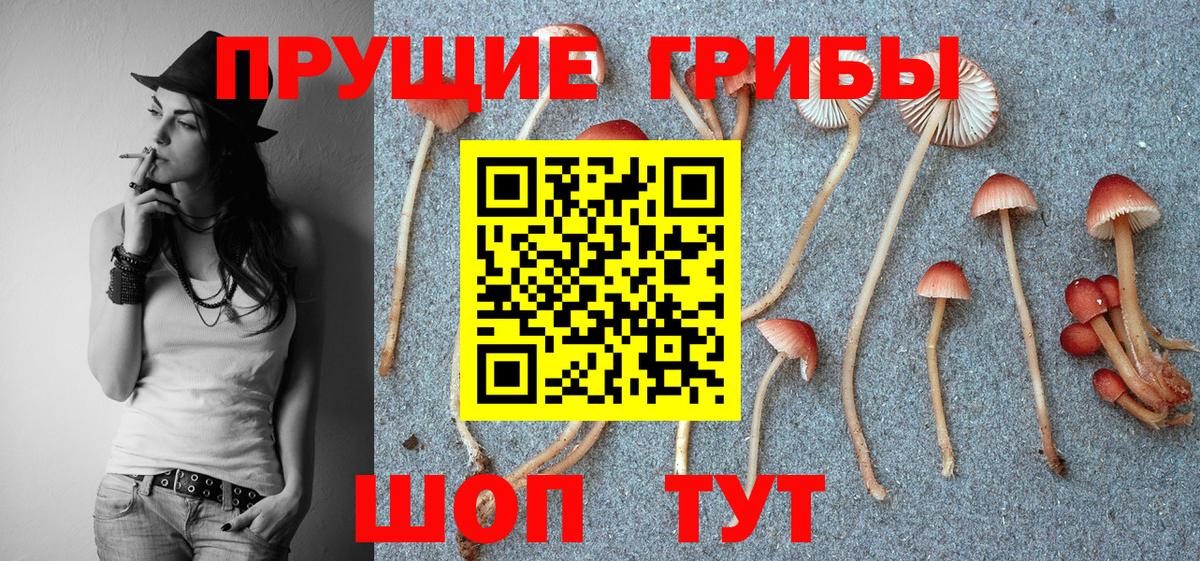 Верхняя Пышма  Псилоцибиновые грибы ЛСД  Галлюциногенные грибы Magic Shrooms  продажа наркотиков  Вход с VPN 